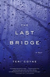 The book cover of the last bridge by Teri Coyne shows a rainy blue-tinted windshield and barely visible tree limbs