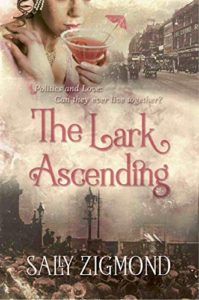 The Lark Ascending by Sally Zigmond book cover