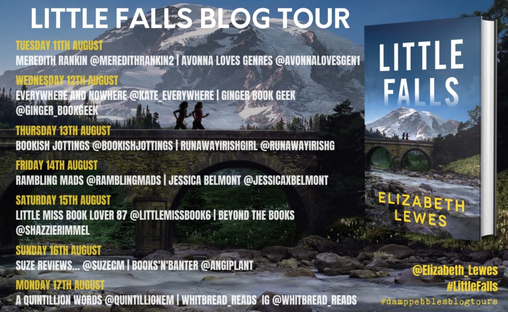 Blog tour poster for Little Falls by Elizabeth Lewes